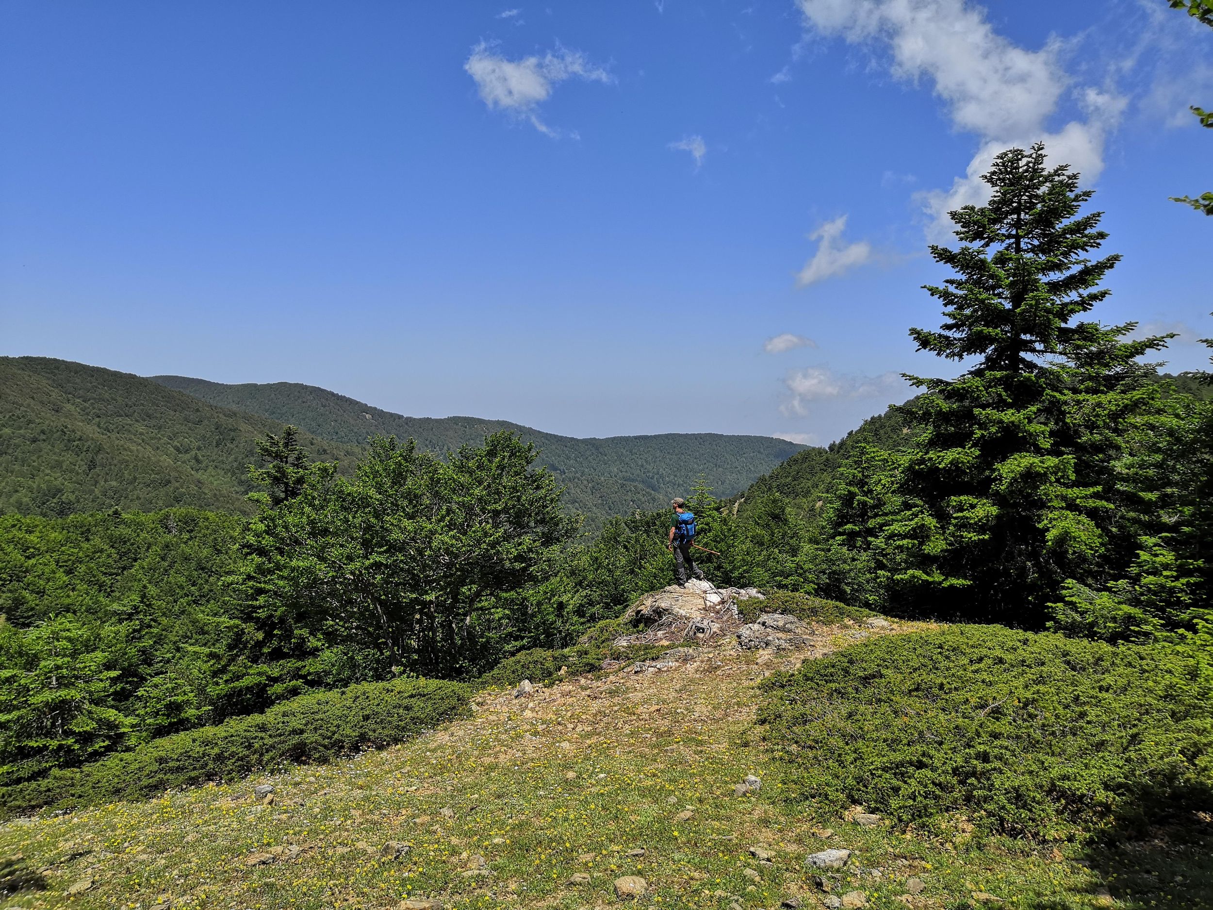 Reggio Calabria: Aspromonte Trails Trek zum Montalto Gipfel