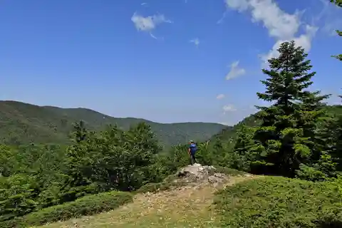 Aspromonte Trails Trek to Montalto Summit