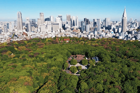 Tokyo: Private Meiji Shrine Walking Tour - Image 2