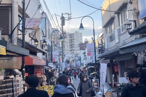 Timeless Tokyo Yanaka: Hidden Flavors & Old Tokyo Spirit