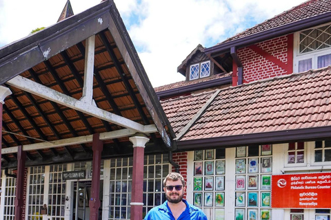 Colombo to Nuwara Eliya Transfer with Tea Factory Visit