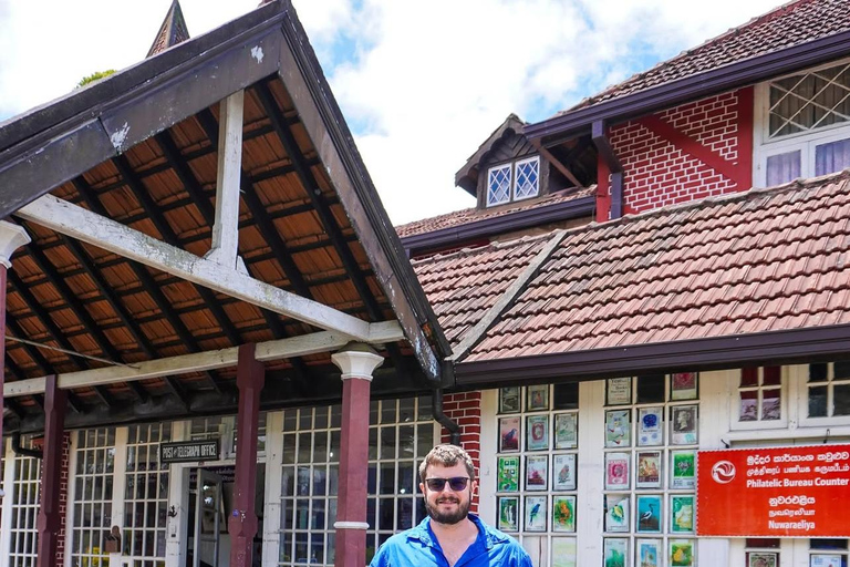 Colombo to Nuwara Eliya Transfer with Tea Factory Visit