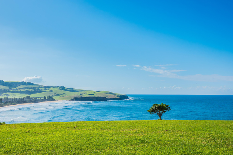 Sydney Secret Coastline: Kiama Blowhole, Wollongong Wildlife Shared Tour, Meet at Furama Darling Harbour
