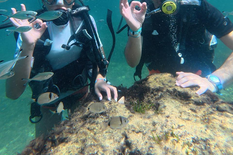 Mahdia: Guided Medina Tour and Scuba Diving Experience