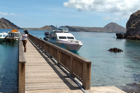 Dagsutflykt utforska Komodo nationalpark med privat snabbgående båt