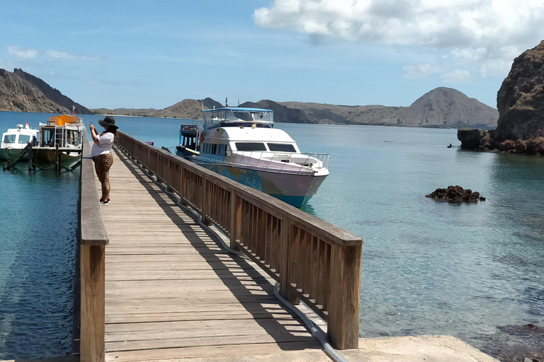 Dagsutflykt utforska Komodo nationalpark med privat snabbgående båt