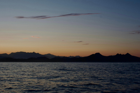 Sunset Cruise in San Jose del Cabo