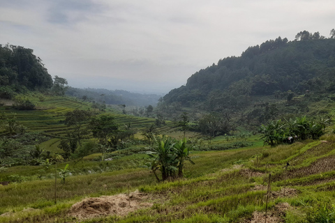 Yogyakarta: Merapi Sunrise Jeep and Trek with Lunch