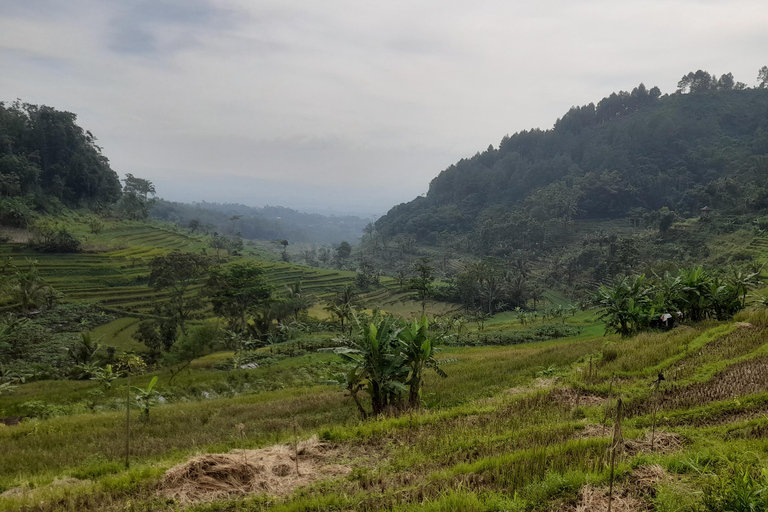 Yogyakarta: Merapi Sunrise Jeep and Trek with Lunch