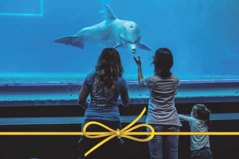 Aquarium of Genoa: Skip-the-Line Ticket