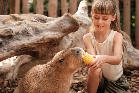 Bali Zoo: Capybara Brunch & Observation Experience Capybara Brunch Experience with Transfer