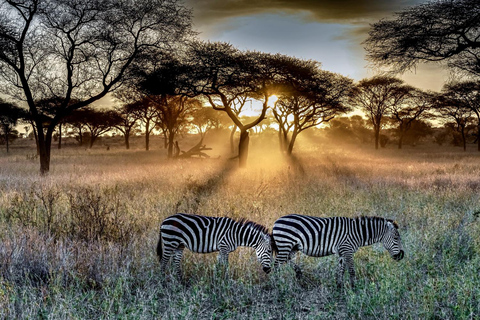 Parque Nacional Kruger de luxo: Safári e rota panorâmica