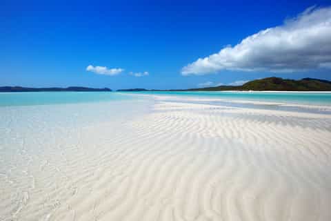 Airlie Beach: Whitehaven Full-Day Eco-Cruise with Lunch