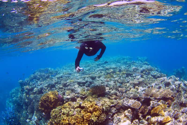 Airlie Beach: Whitehaven Eco-Cruise with Snorkeling & Lunch | GetYourGuide