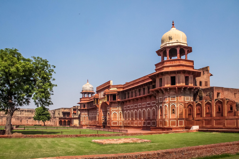 Guided walking agrafort, jama masjid & tajhmahal tour Cab + Guide