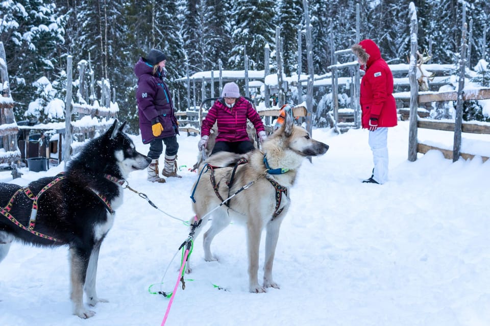 Rovaniemi Lapland Essentials activity package GetYourGuide