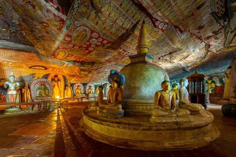 Sigiriya Rock, Dambulla Cave & Cart Rides One Day Trip Luxury Tour from Colombo, Negombo or Mount Lavinia