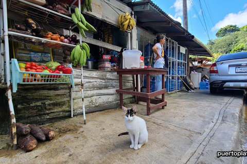 Dominican Republic Countryside Safari Tour from Puerto Plata