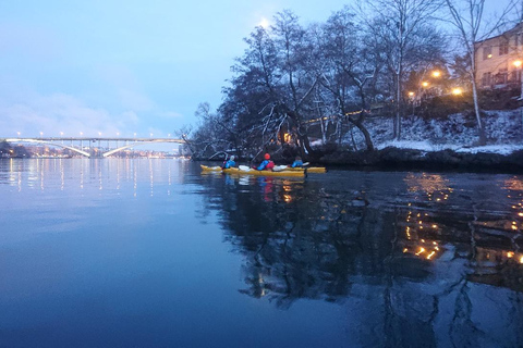 Stockholm: Kajaktour door de winter