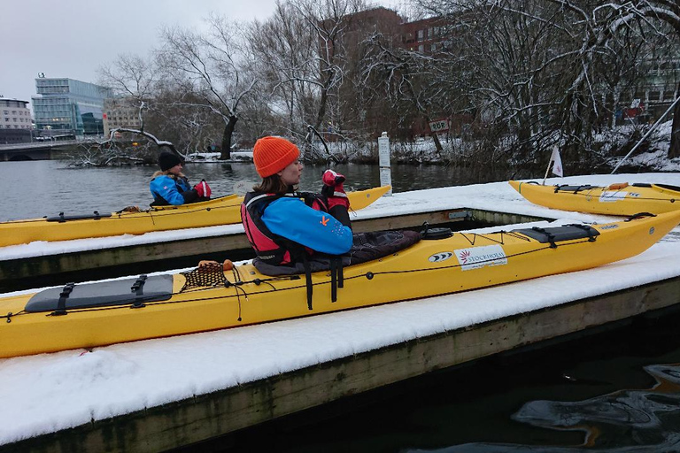 Stockholm: Kajaktour door de winter