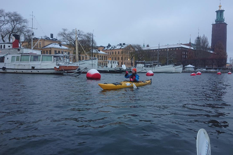 Stockholm: Winter-Kajaktour durch die Stadt