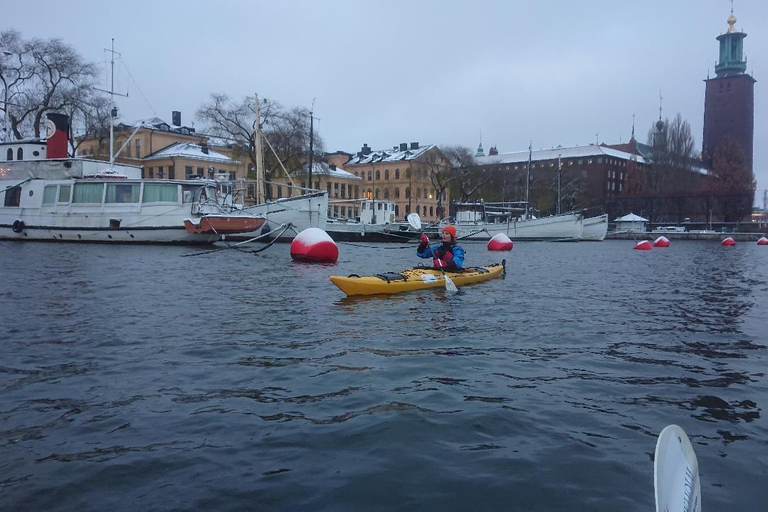 Stockholm: excursion en kayak dans la ville d&#039;hiver