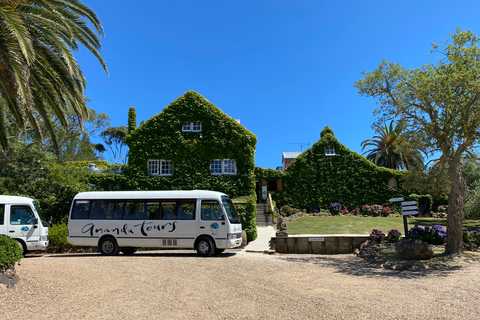 Excursión gastronómica y vinícola por la isla de Waiheke con almuerzo en bandeja