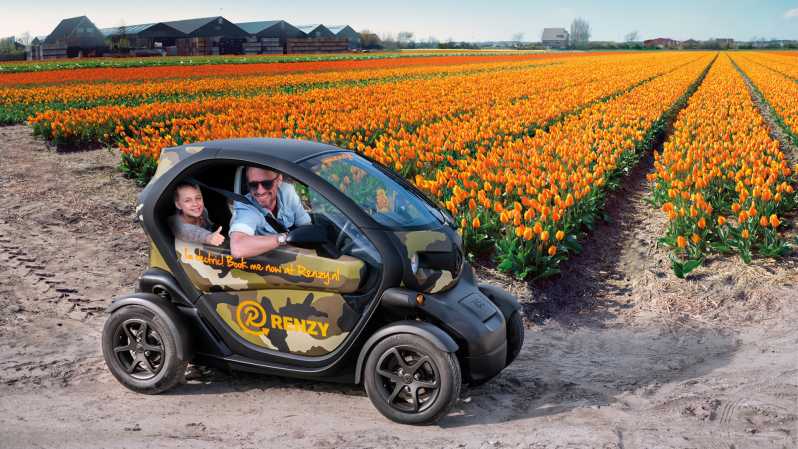 Lisse: Drive-it-Yourself Tulip Fields GPS Audio Tour
