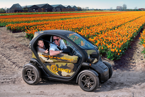 Lisse: recorrido en audio con GPS por los campos de tulipanes para conducirlo usted mismo