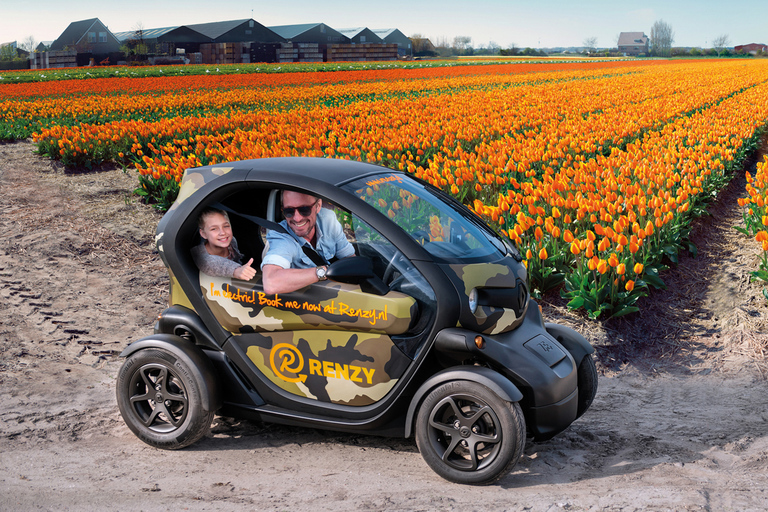 Lisse: Visite audio GPS des champs de tulipes en voiture