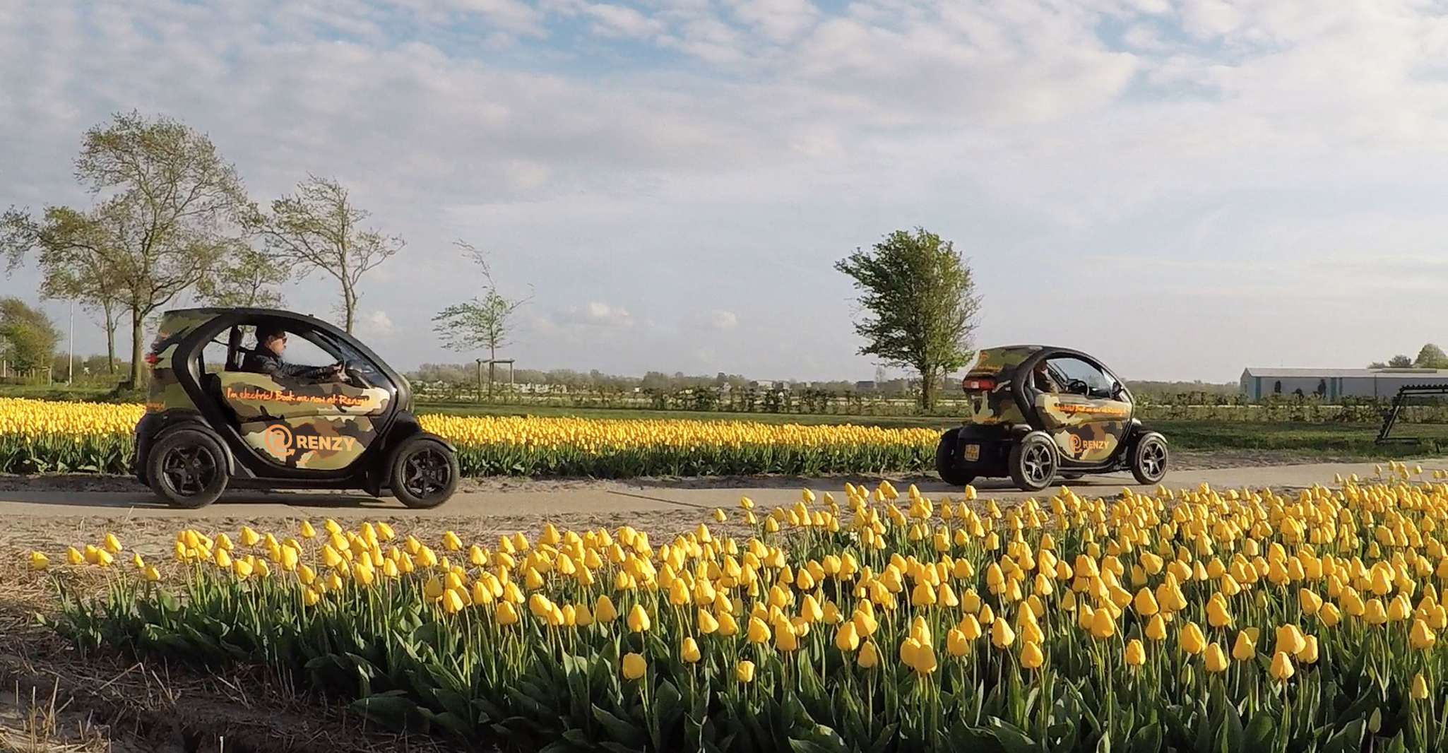 Lisse, Self-Guided Tulip Fields GPS Audio Tour - Housity