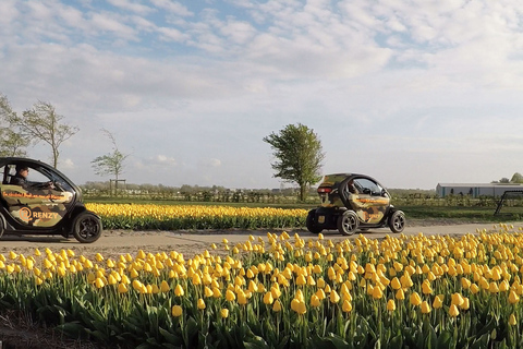 Lisse: recorrido en audio con GPS por los campos de tulipanes para conducirlo usted mismo