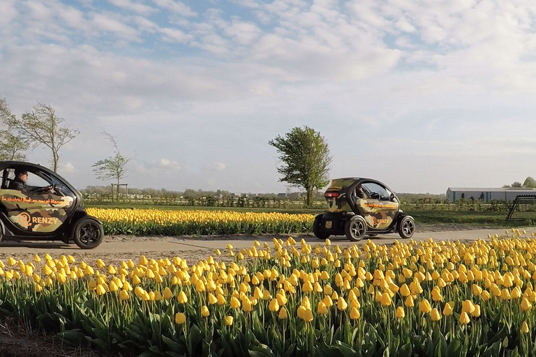 Lisse: Tour de áudio GPS autoguiado pelos Campos de Tulipas