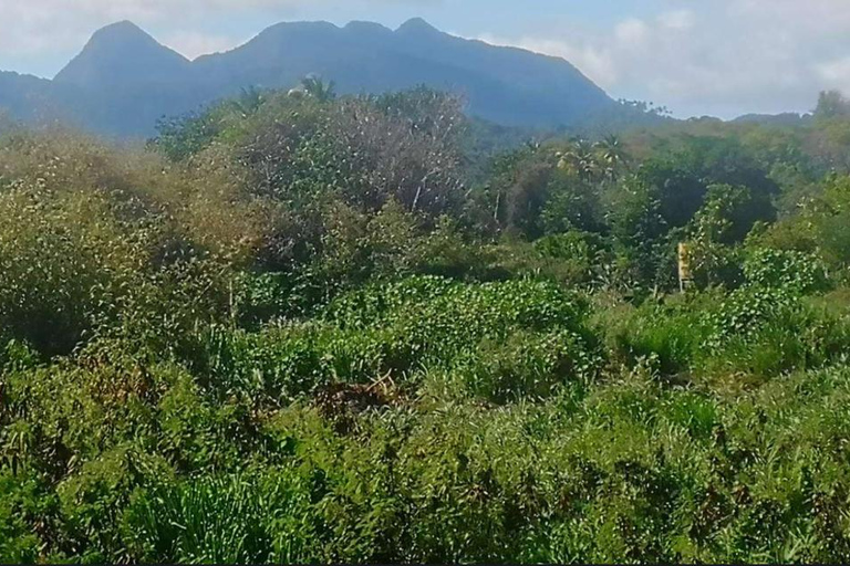 Gros Piton Adventure with Tour For The Day