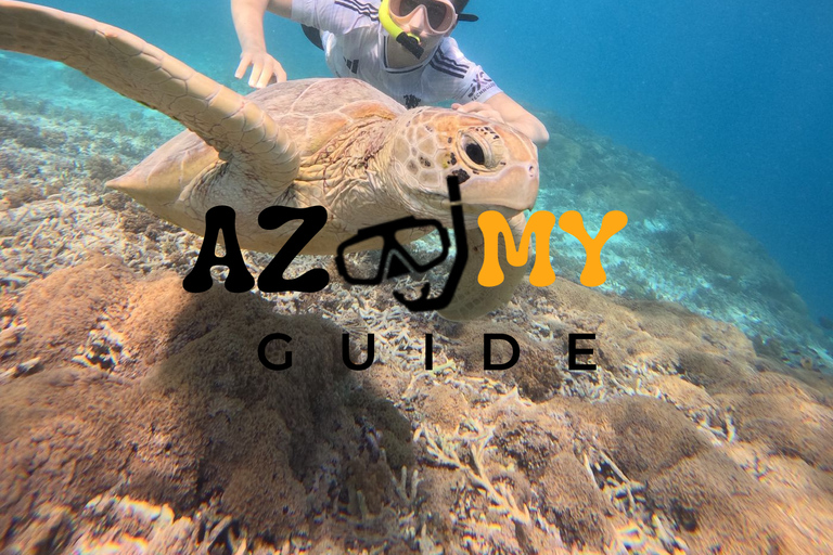 Snorkeling Trip Gili Trawangan Private Glass Bottom Boat