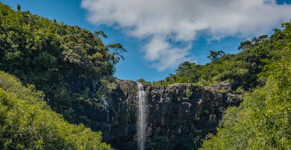 Mauritius: Tamarind Falls Highlights 3-Hour Hiking Trip