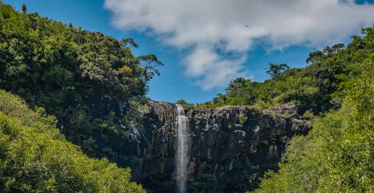 Tamarind Falls, randonnée guidée de 3 heures