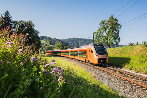 Zurich: Hardcore Swiss Train Tour–4 Scenic Railways in 1 day Excluding Train Tickets