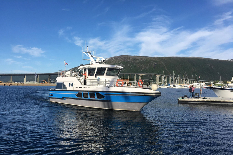 Tromsø : Croisière dans le fjord pour observer la faune et la flore, avec déjeuner et boissonsTromsø : fjord, oiseaux sauvages, déjeuner, boissons