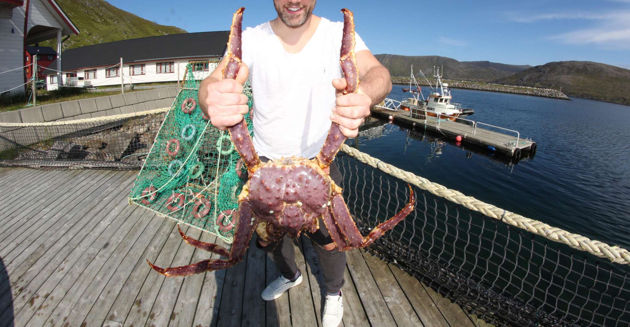 From Honningsvåg, North Cape and King Crabs Tour - Housity