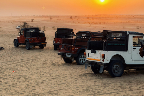 Jaipur, Jodhpur or Jaisalmer Multi-Day Trip with Safari