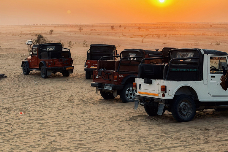 Jaipur, Jodhpur or Jaisalmer Multi-Day Trip with Safari