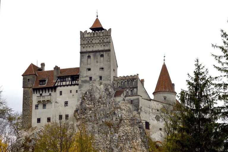 Recorrido de 1 día por Bucarest: Castillo de Peles y Drácula y ciudad de BraşovExcursión de un día a Bucarest: Castillo de Drácula, Castillo de Peleș y Brașov