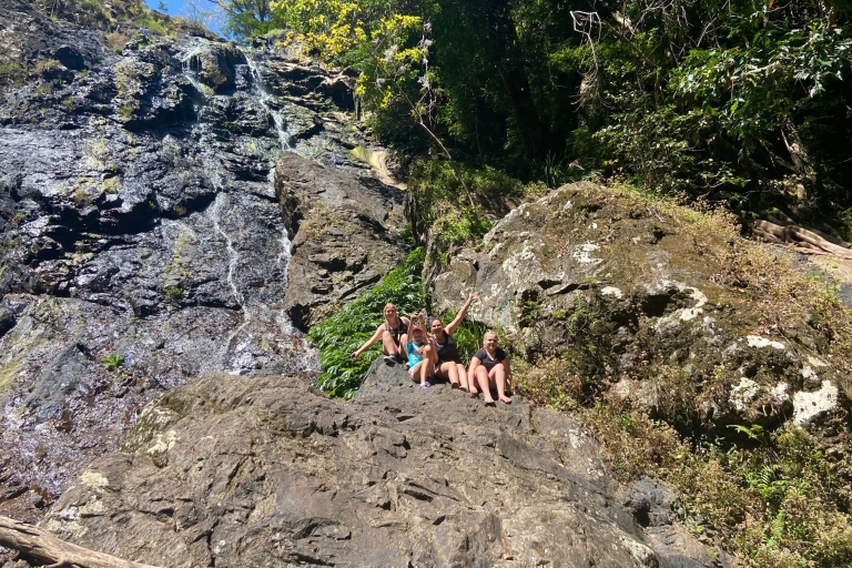 Sunshine Coast: visite du village de Maleny et des chutes de Kondalilla