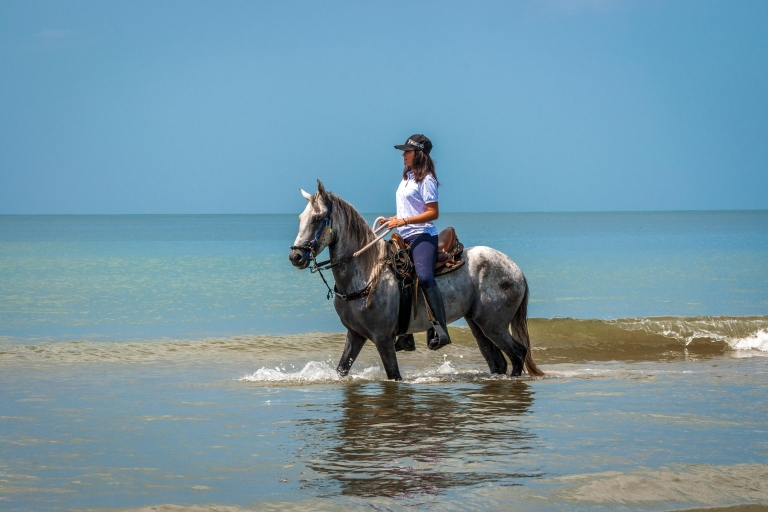 Carthagène : balade à cheval sur la plage et culture du cheval colombien