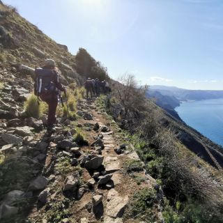 Palmi: Guided Tracciolino Trail Trek