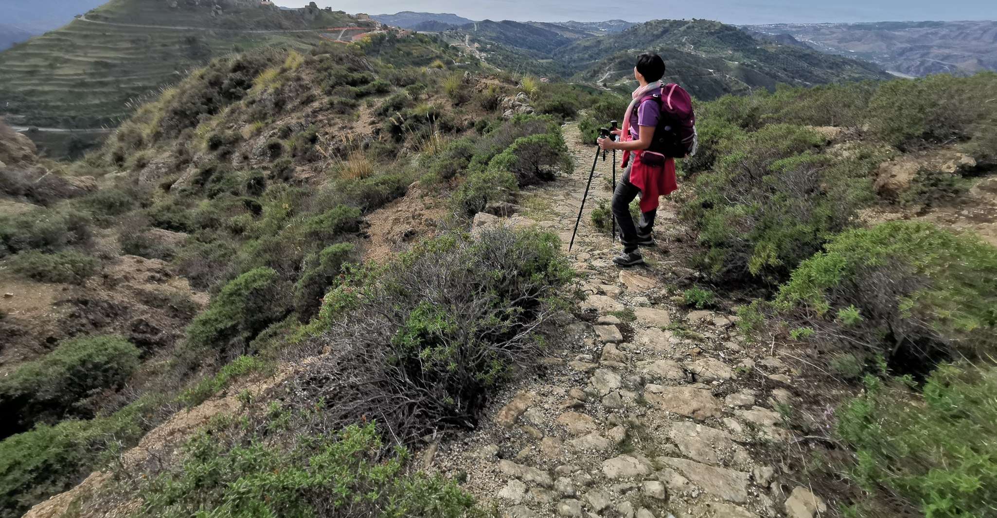 From Bova, Private Trek to Aspromonte National Park - Housity