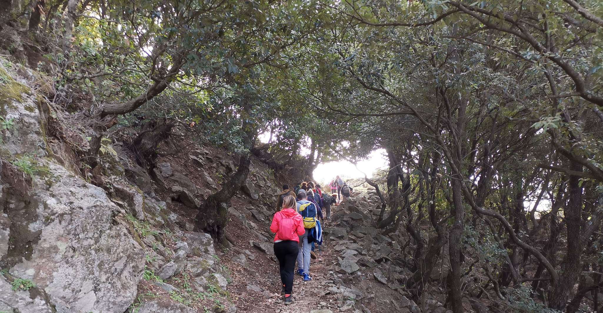 From Bova, Private Trek to Aspromonte National Park - Housity