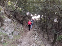 From Bova, Private Trek to Aspromonte National Park - Housity