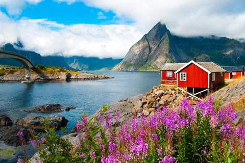 From Svolvær: South Lofoten Highlights Photo Tour (Summer)